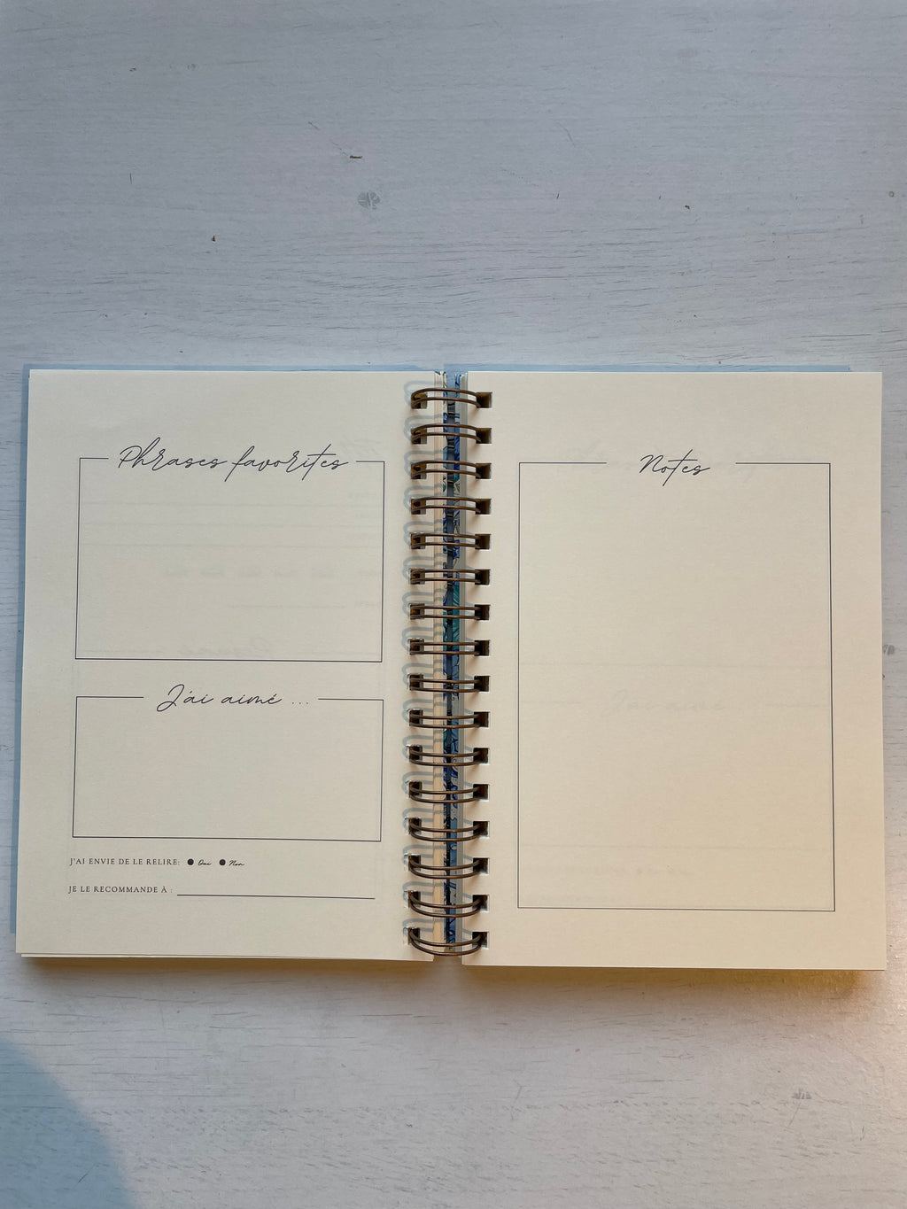 Journal de Lecture à personnaliser